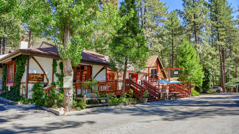 Idyllwild houses in the forest