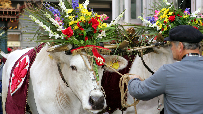 Easter celebration in Florence, Italy