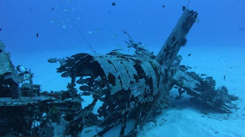 F4U Corsair Wreck Site, Oahu