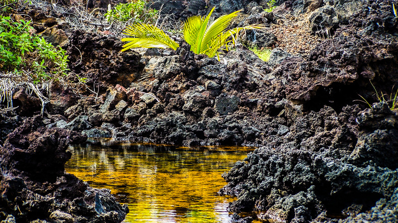 Golden Pools of Keawaiki, Hawaii