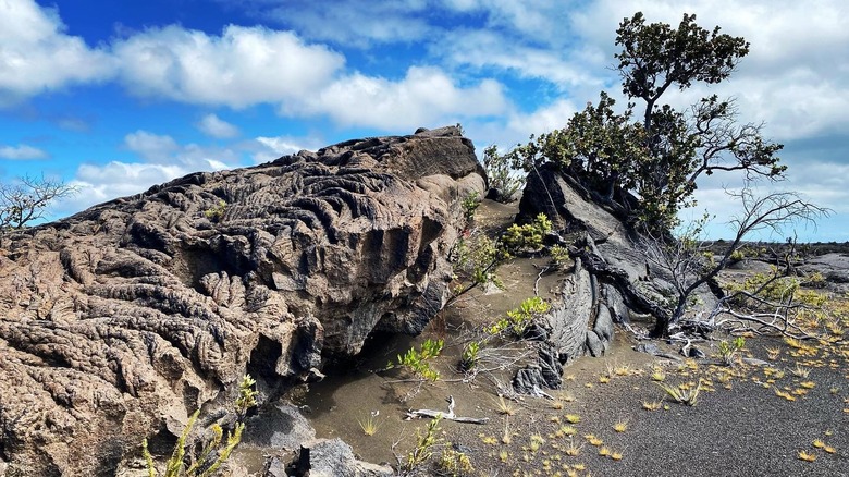 Ka'u Desert in Hawaii