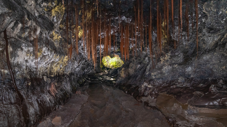 Kaumana Cave, Hawaii