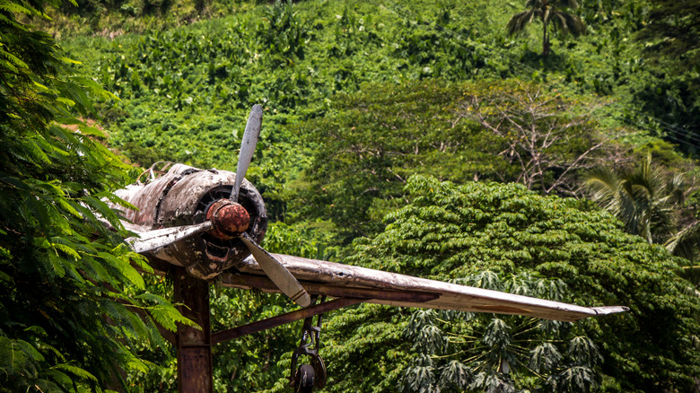 WWII airplane, Papua New Guinea