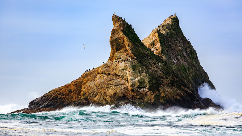 Farallon Islands, California rock formation