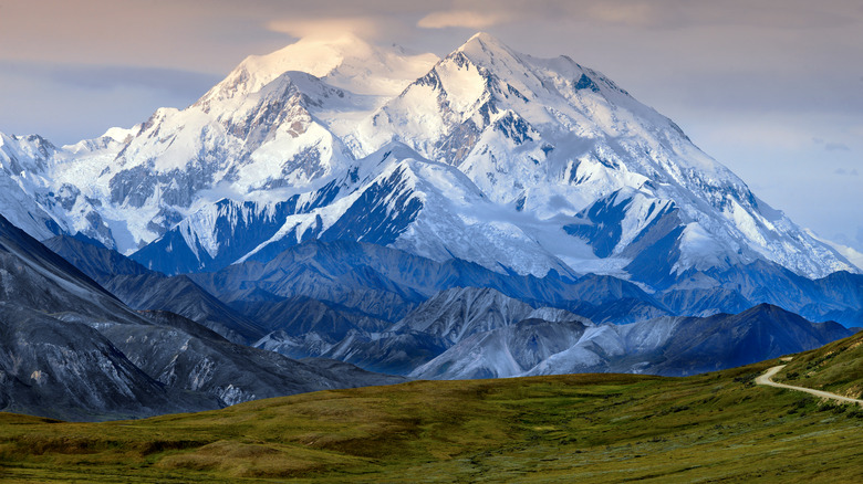 Views of Denali