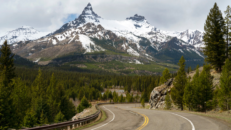 Winding road towards snowy peak