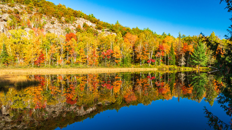 Algonquin Park lake in autumn