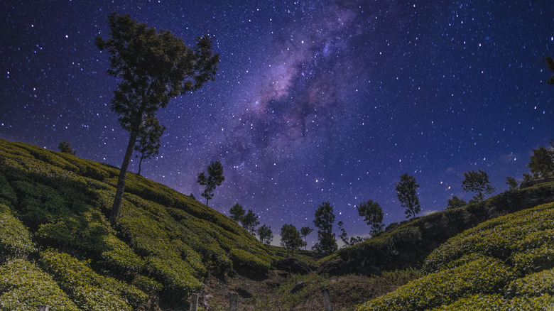 Night sky in Munnar, India.