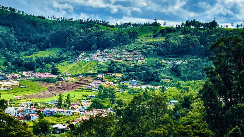 Landscape in Ooty, India.