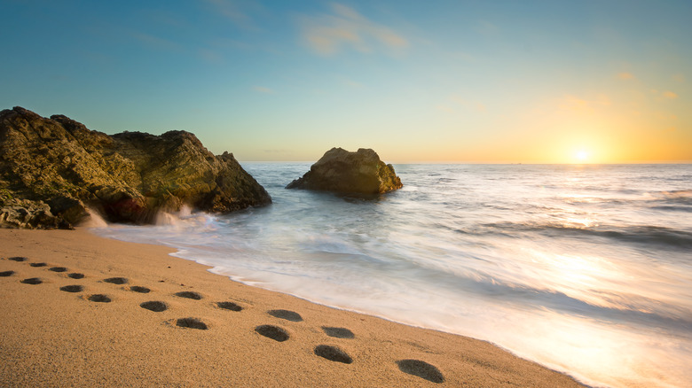 Footprints on the beach