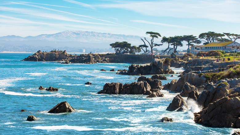 rocks on the coast