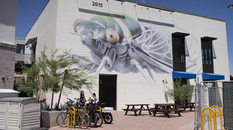 Mural on Arizona development wall.