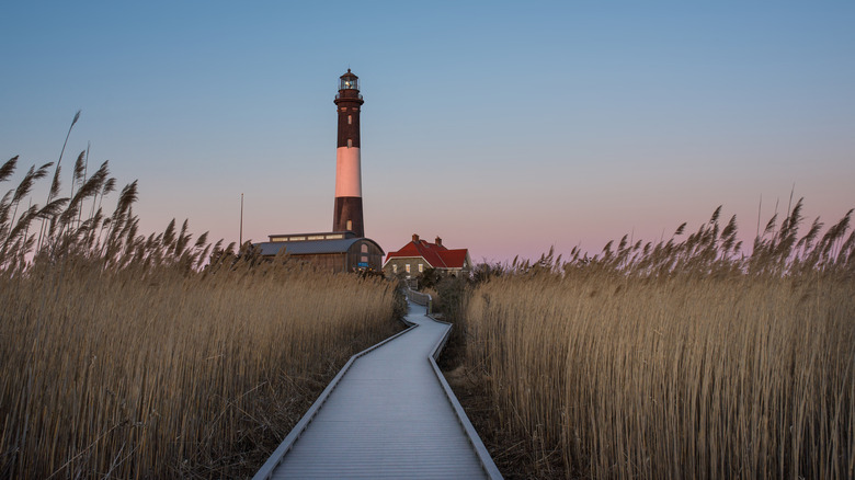 Lighthouse in Fire Island wetlands.