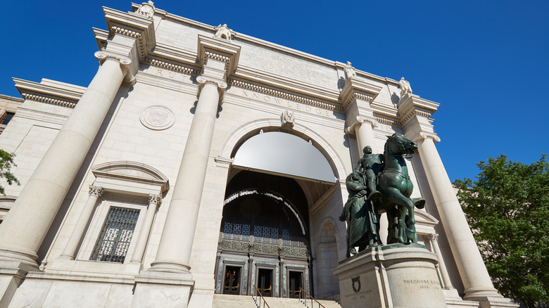 American Museum of Natural History daytime