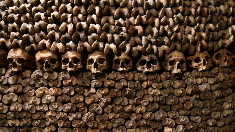 Catacombes de Paris skulls 