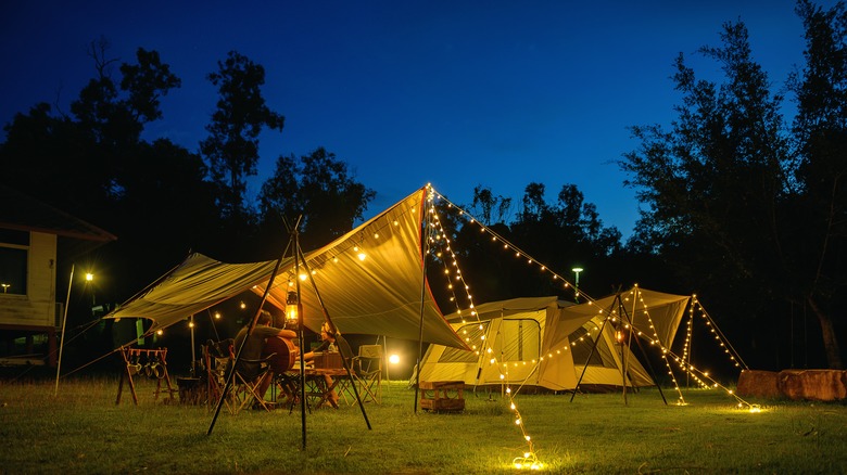 group camping at night