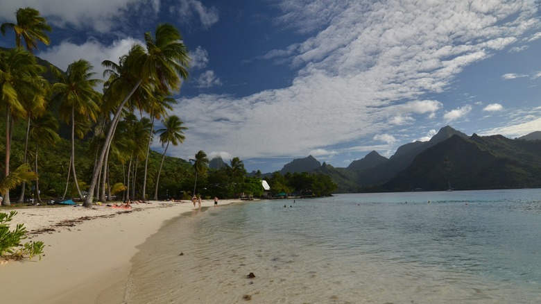 View of Ta'ahiamanu Beach