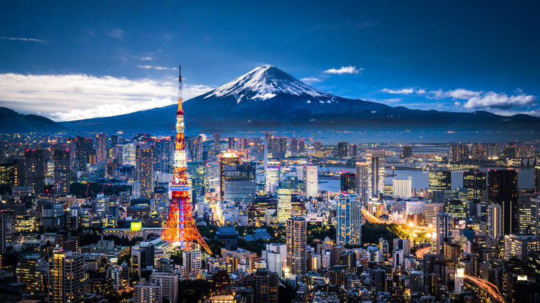 skyline of Tokyo with Fuji