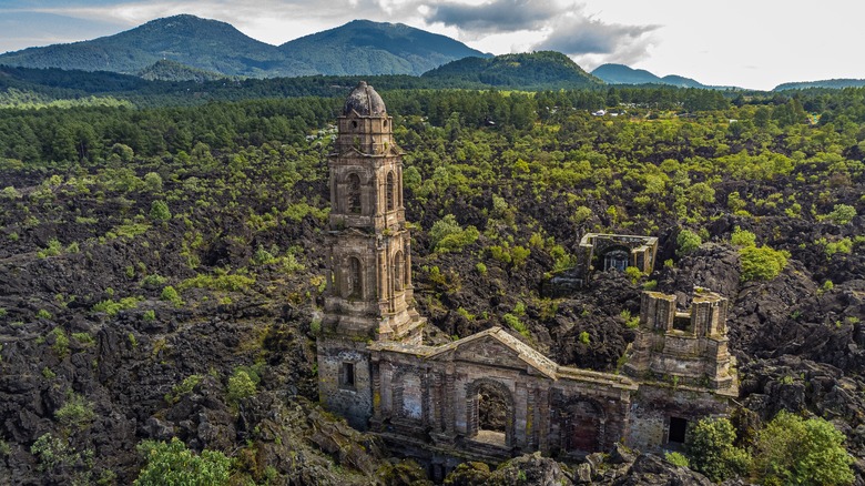 Abandoned church surrounded by forests