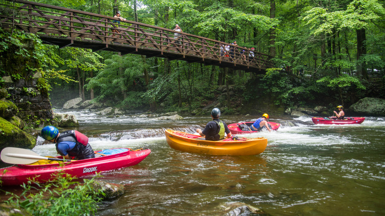 Canoers in the Smoky Mountains