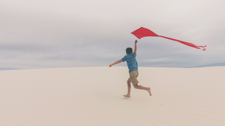 boy flying kite at park