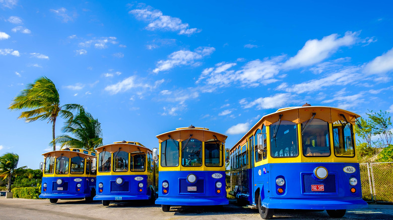 Cayman island trolley buses