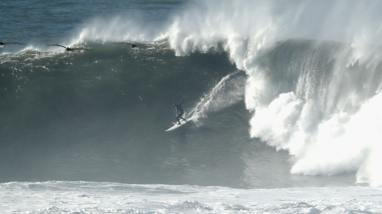 Surfer on gigantic wave