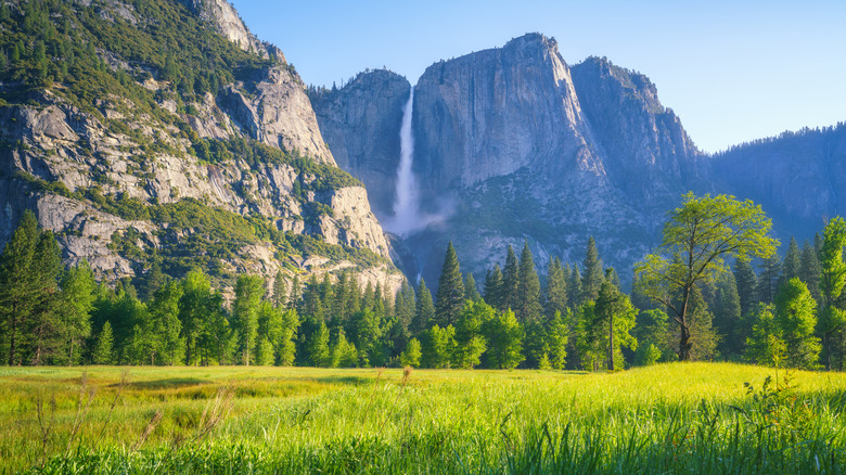 View of Yosemite Falls