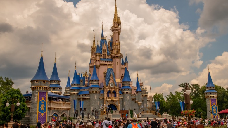 Disney castle at Disney World