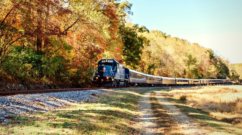 Train passing by colorful trees