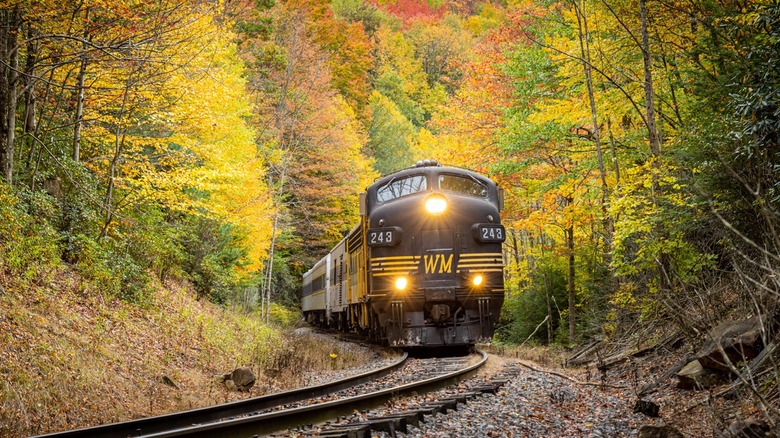 Durbin Greenbrier train with foliage