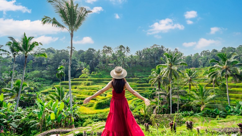 woman overlooking bali rice paddies