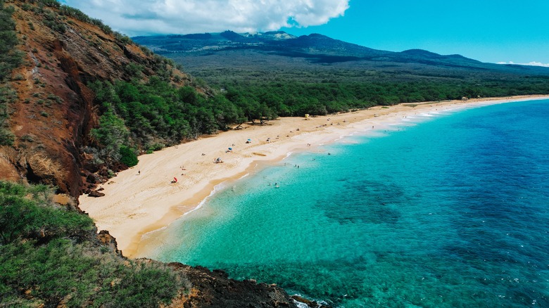 beach on hawaii