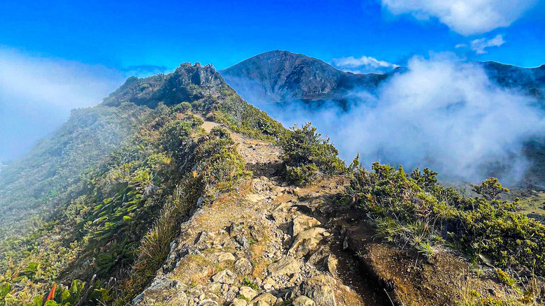 View from atop Haleakalā crater