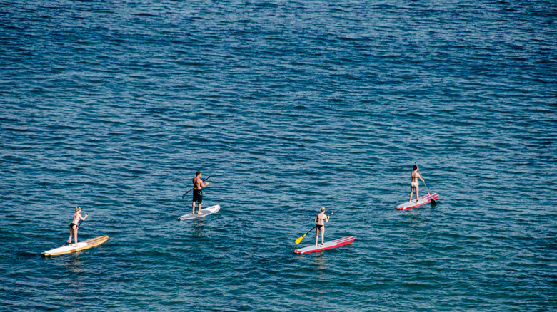 Stand-up paddle-boarding