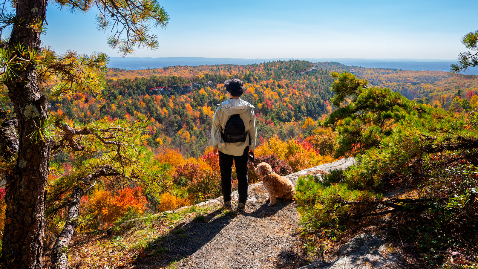 The 15 Best Hiking Trails in the U.S.