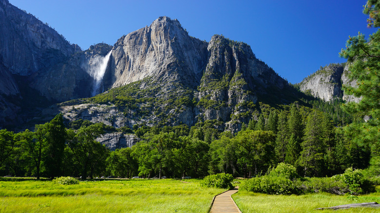 Boardwalk trail with Yosemite Falls view