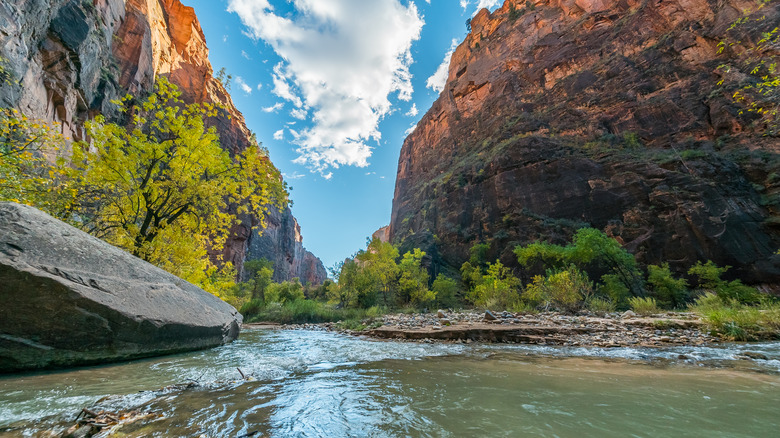 Virgin River in Zion National Park