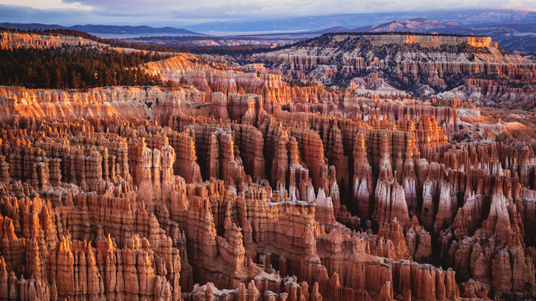 Hoodoos at Bryce Canyon National Park