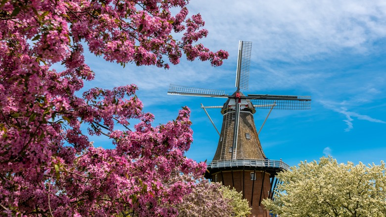 Historic windmill in Holland