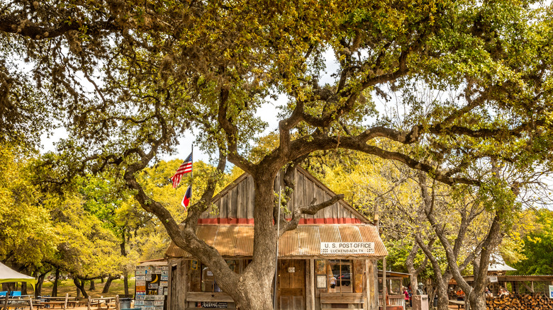 The saloon in Luckenbach