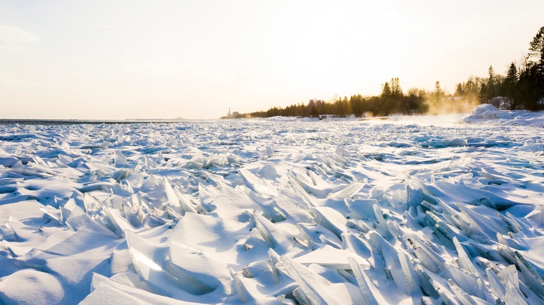 North Shore sculptures in Minnesota