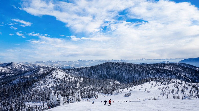 Skiers on Whitefish Mountain