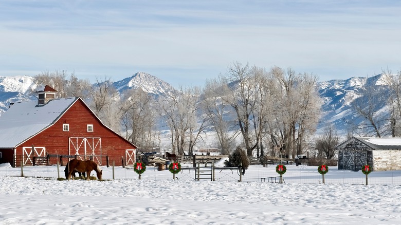 Snowy ground with horse and red barn