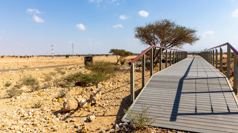 U.A.E. archaeological site