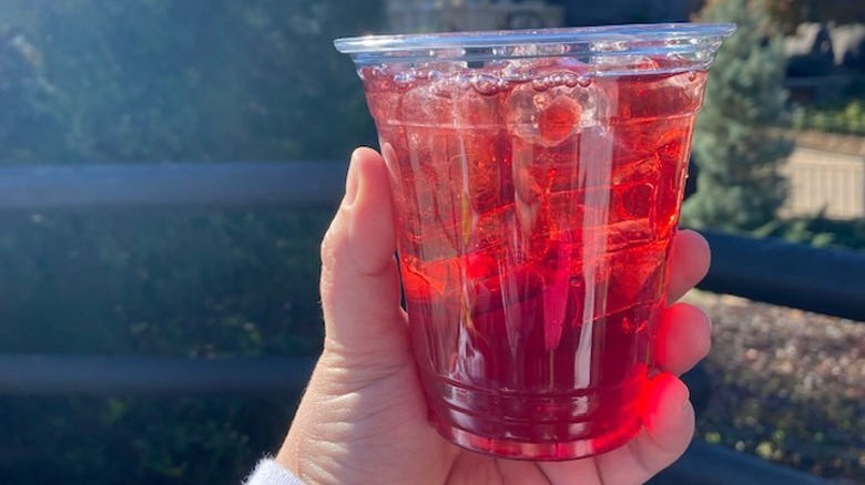 Person holding Ottawa Apple drink