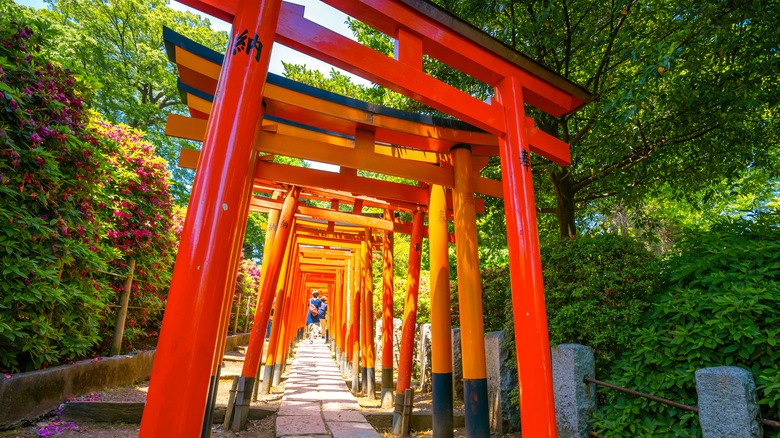 The colorful Nezu Shrine