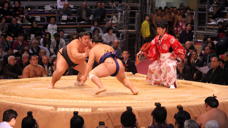 Sumo wrestlers fighting in a ring