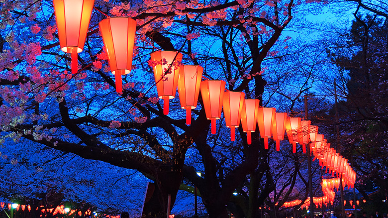 Lanterns at Ueno Park