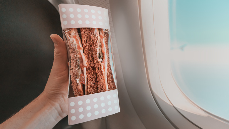 Person holding sandwich on plane